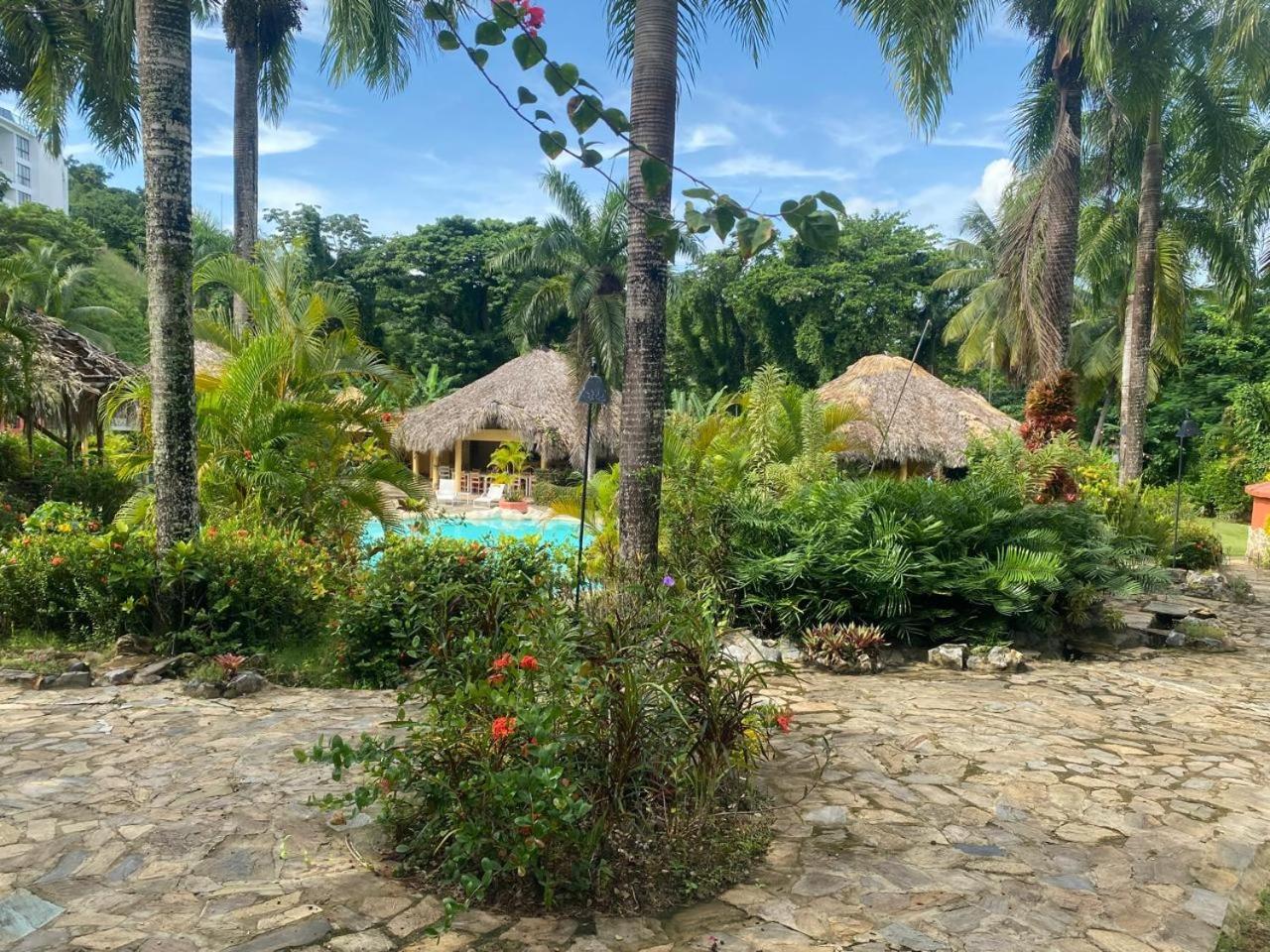 Hotel - Residencial Madrugada Las Terrenas Extérieur photo